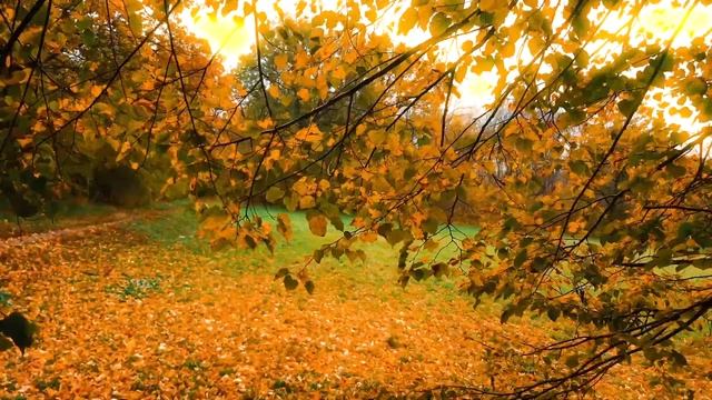 Что человеку остаётся смотреть онлайн