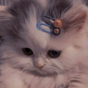 вы говорите я рисую только еда