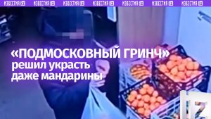 «Подмосковный Гринч»: ворвался в магазин и съел мандарины — кадры задержания