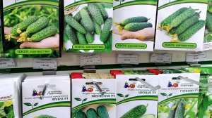 Каталог _ Семена _