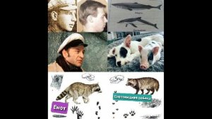 Нет я не БЕндер, не Остап. (Повторяемость и изменяемость).