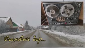 Сосновый бор ... Песня (Премьера) 2026