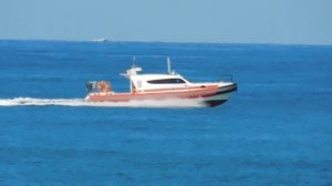 ВИДЕО  ПВН  ББ   (1556)