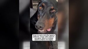 Видео от МЭН - Мне Это Нравится