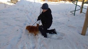 Испытания для собаки!  Матвей109 и Плэйгеймс.