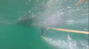 Как быстро обследовать большой район нырялки