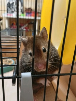 аквагрим в первый раз