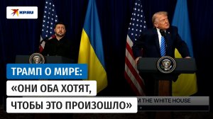 Дональд Трамп прокомментировал переговоры с Владимиром Зеленским