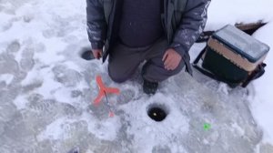 VID_20251229_091144_892