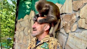 Люся так поправилась что выдержать ее прыжки уже очень сложно, это просто торнадо какое-то)))