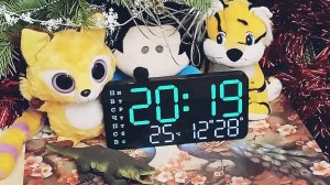 Счастливый случай! Живая ёлка! Гирлянда, Максик, лысый Лимоша.. Вот и Новый год грядёт..