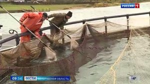 Сразу 3 вологодских озёрных участка выставлены на аукцион для аквафермеров