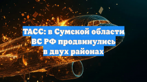 ТАСС: в Сумской области ВС РФ продвинулись в двух районах