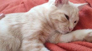 Дневник за 29 декабря: дневное ассорти