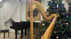 🎻 «Марш мандолинистов» Э.Меццакапо, исп. Анатолия Драир #music #violin