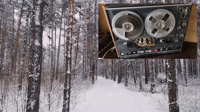 Парень из Народа Песня Премьера 2026 Авторскаяпесня Пареньизнарода