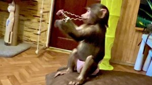 Анфиса взялась за распаковку посылки, тут они с Люськой очень похожи, они это дело обожают)))