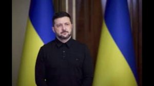 Финский консервативный политик дал совет Зеленскому после его встречи с Трампом