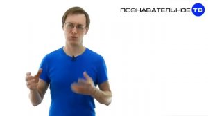 Что происходит в иешивах за бетонным забором с колючей проволокой?