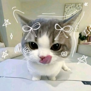 игра 99 ночей в лесу