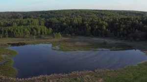 Поцелуй солнца 2025 (Таис Афинская)