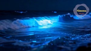 [SIMONA-MIDNIGHT ELECTRIC ]#italodisco #80s