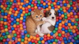 ИИ АНИМАЦИЯ | ЗАЛИПАЛКИ