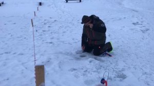 поимка форели на жерлицу