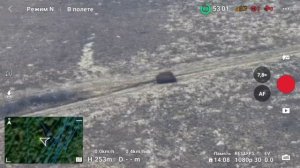 🔴Удачливый укроп, невезучий укроп🔴Почему от хохлов всегда туалетная бумага разлетается?🙂🔴