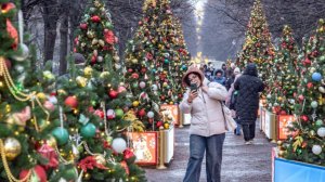 Депутат Свинцов предупредил о возможных ограничениях интернета в новогоднюю ночь