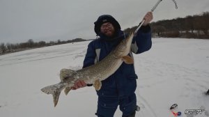 Зимняя рыбалка 25/26 на реке Проня. Трофейная щука на жерлицы.