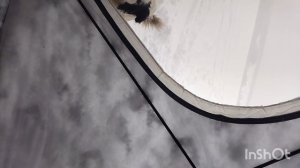 Рыбалка на бвх, ловлю густеру!