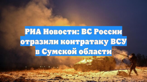 ТАСС: в Сумской области ВС РФ продвинулись в двух районах