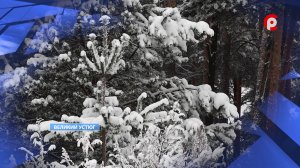 Погода на Новый год