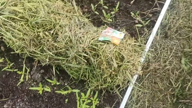 9,10 апреля 2025 г. Опять зима смотреть онлайн