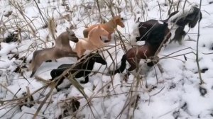 лошади шляйх и колекта ИИ