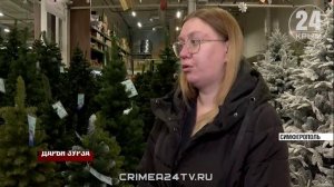 Хвойная мода: сколько денег крымчане потратят на главное украшение новогодней ночи