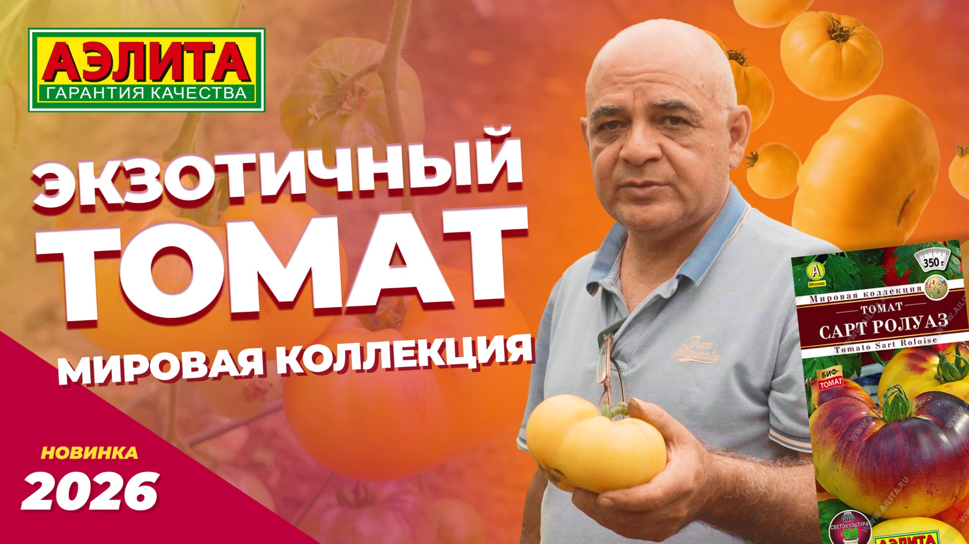 Оригинальный сорт томата -  НОВИНКА 2026! Сочный десертный биф-томат САРТ РОЛУАЗ смотреть онлайн