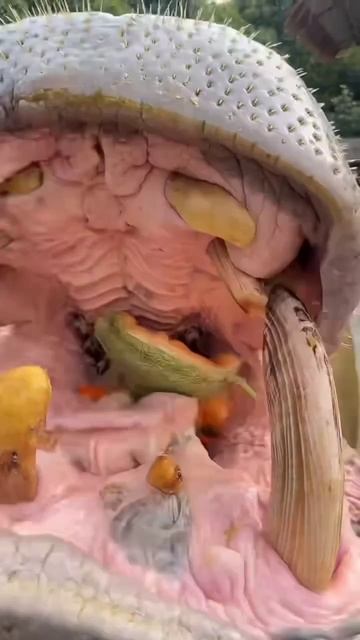 Небольшой перекус смотреть онлайн