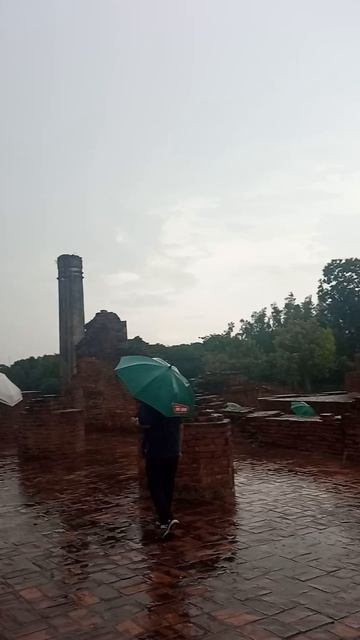 Место, где дождь звучит как мантра смотреть онлайн