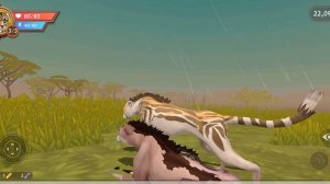 Мини фильм "Гепард"