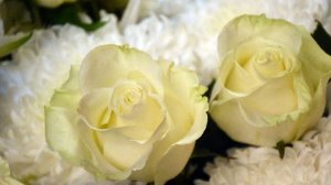 Пресвятая Дево Мария