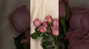 #тренды,песни и липсинги#