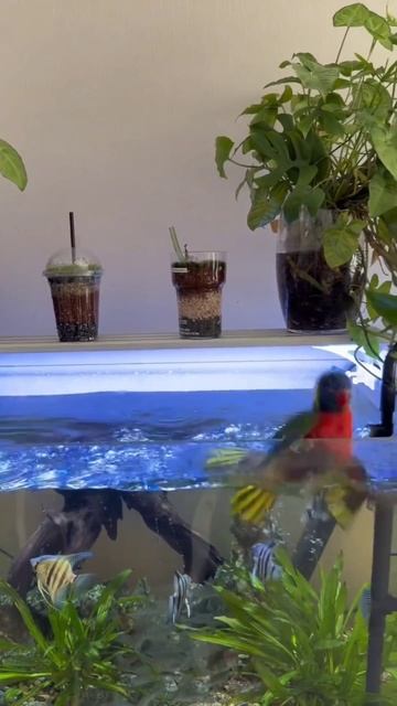 утренний моцион смотреть онлайн