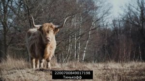 Фиксируют все фиксики