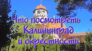 Куда сходить и что посмотреть в Калининграде и окрестностях