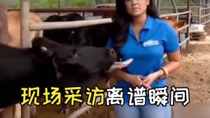 Моменты прикольные у ведуших