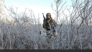 Трамп рекомендовал Зеленскому даже не пытаться получить передышку для ВСУ