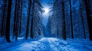 Кэнни & МС Дымка — Ворона (AI Music Video) | Новогодняя версия 2026 🎄🦅