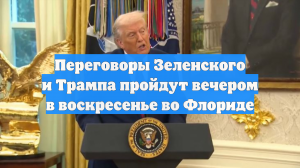 Переговоры Зеленского и Трампа пройдут вечером в воскресенье во Флориде
